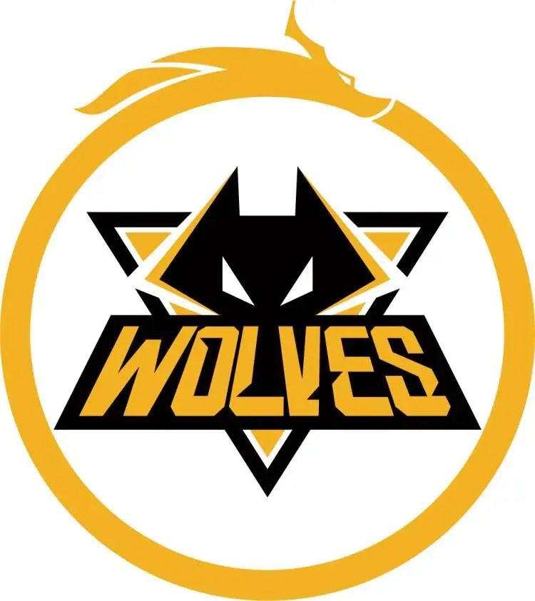 NAVI的所有者成为乌克兰电子竞技联合会的主席